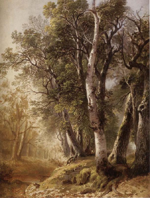 Asher Brown Durand Trees by the Brookside,Kingston Spain oil painting art
